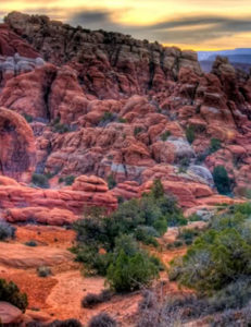 new mexico