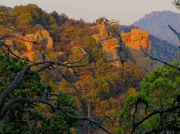 aldo leopold wilderness